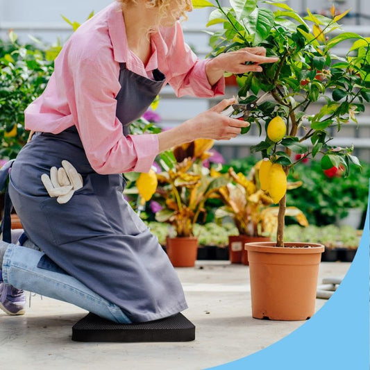 Garden kneeling mat

